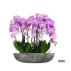 A high quality Fifteen pink orchids arrangement with a vase 20" D