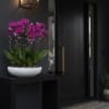 A high quality Fourteen purple orchids arrangement with a vase 20" D