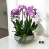 A high quality Ten pink orchids arrangement with a vase 16.5" D