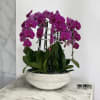 A high quality Nine purple orchids arrangement with a vase 16.5" D