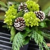 Simple collection of bright green hydrangeas and pine cones with evergreens in
