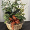 Fall Dish Gardens 8in, 10in, 12in