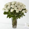 Pure Elegance in Every Petal

Experience the timeless beauty of our stunning arrangement