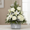 That is a gorgeous, sophisticated winter arrangement in a unique container! The