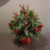 Celebrate the season with this assortment of evergreens created for your table!