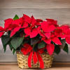 Two 6&quot; poinsettias in a peanut basket, with a festive bow

