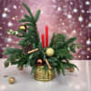 An elegant assortment of pine branches, Christmas decorations and cinnamon. It is