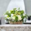 Elegant mix of white and green in a wooden box