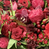 A mix of premium and luxury red blooms in a vase.

Perfect flowers