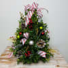 A Holiday Favorite! A festive boxwood tree. With minimal care of just