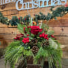 A holiday arrangement of beautiful latin lady roses, mini green hydrangeas, and