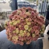 handheld rose bouquet in soft colors