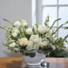 White Promise 

&ldquo;White Promise&rdquo; is a romantic and exclusive premium floral arrangement