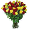 48 Hand-tied Burgundy &amp; Yellow Roses are Perfect for the ASU Graduate!!