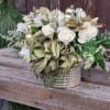 An elegant gold vase filled with white roses, alstromeria and limonium with