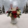 An explosion of Holiday Season flowers