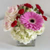 Arranged in a modern glass cube vase, this bouquet exudes a warm