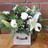 Beautiful seasonal arrangement with fresh evergreens, white lilies, white ranunculus, pine cones