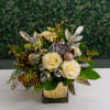 Fun composition of wintery evergreen foliage and succulent, white blooms as well