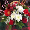 A large rustic basket filled with evergreens, red and white flowers. With