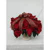 The red poinsettia has been a classic holiday favorite for generations...and for