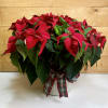 Bring the magic of the season home with our vibrant 10&quot; Red