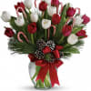 Red and white tulips with candy canes and pine 