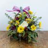 Six inch wicker basket with daisies, roses, alstro and greens make this