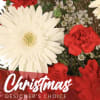 Let us create a beautiful Christmas arrangement for you! 