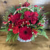 Beautiful red Holiday blooms!