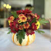 This arrangement holds a vibrant mix of burgundy and golden-orange chrysanthemums, accented