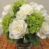 Green Hydrangea with White Roses in glass cube