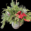 Winter hanger, in metal pot, with mixed winter greens, pine cones and