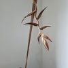 Make a bold, tropical statement with our Dried Hanging Heliconia. Dried to