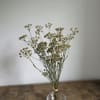 Naturally beautiful and effortlessly timeless, our Dried Flower Bunches are perfect for