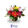 This fresh arrangement is a bubble bowl filled with Gerbera Daisies and