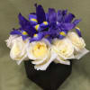 dozen white roses ,blue irises in black cube 5&rdquo;x5&rdquo;container