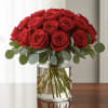 24 Velvety crimson blooms arranged with graceful simplicity. Clean, modern, and deeply