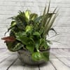 This bountiful selection of green foliage plants in a ceramic container is