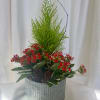 Cypress tree nestled with red blooming kolanchoe set in round tin planter