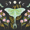 Stunning note cards feature a magnificent luna moth surrounded by florals, stars