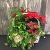 Send this stunning basket of plants, including a traditional Christmas poinsettia and