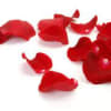 The mere touch of rose petals evokes feelings of romance, passion, and