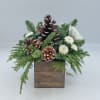 A cute little Winter Arrangement featuring Snow tipped Pinecones, White Chrysanthemums, White