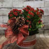 Send holiday cheer with this  beautiful red kalanchoe plant set in