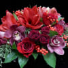 Bold amaryllis, cymbidium orchids, roses and berries