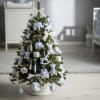 Celebrate his first holiday with this charming mini Christmas tree, styled in