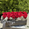 Rizz Charm him/her with this beautiful wood box of red roses 12