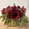 A rich combination of amaryllis, roses, spray roses and holiday greens in