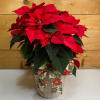 Bring the magic of the season home with our vibrant 8&quot; Red